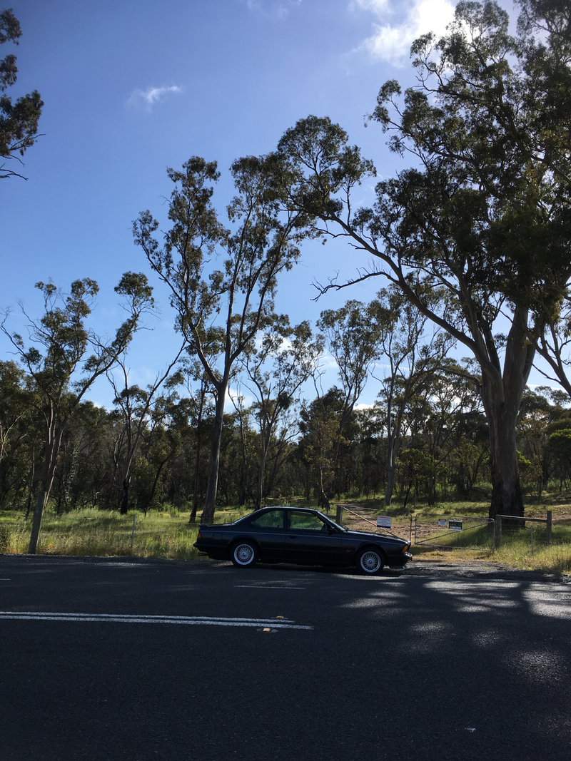 Illustration for article titled BMW 635CSi. Adelaide Hills. Springtime. Goodtime.